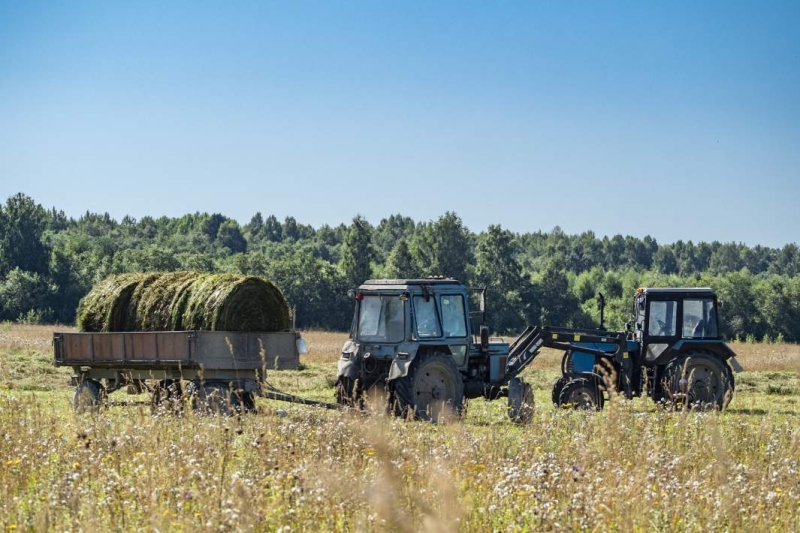 Со злаком минус: банки начали отказывать аграриям в выдаче льготных кредитов