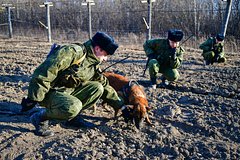 Незаконное пересечение границы между Россией и Финляндией подростком