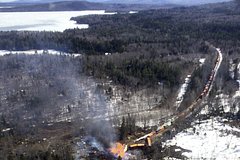 Бобры пустили поезд под откос