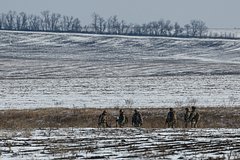 Белый дом раскрыл подробности переговоров с Украиной по условиям мира